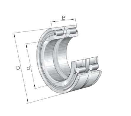 SL045056-D-PP-Roulement à rouleaux cylindriques